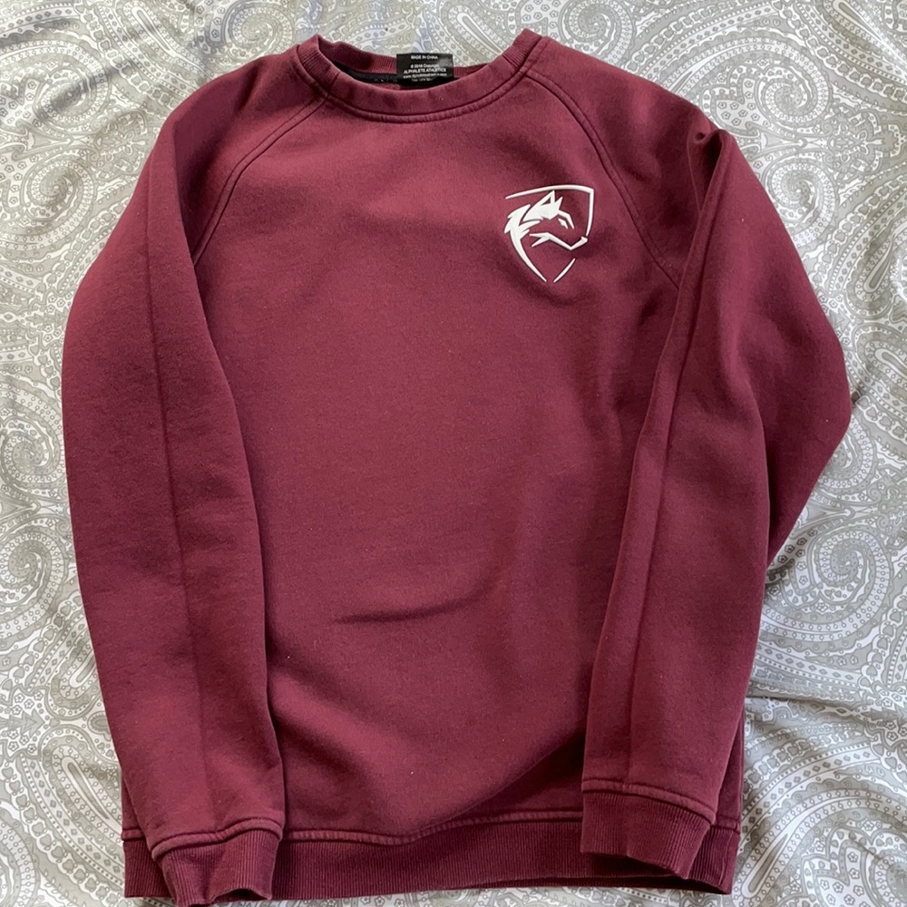 alphalete long sleeve crew